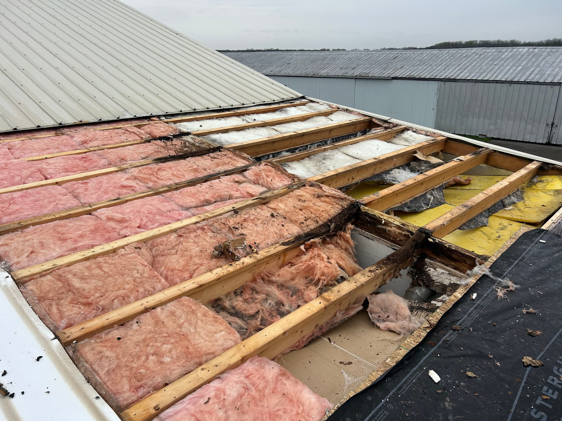 Gallery photos for Roof Replacement with Rotted Framing Repair in Defiance Ohio: Image #2