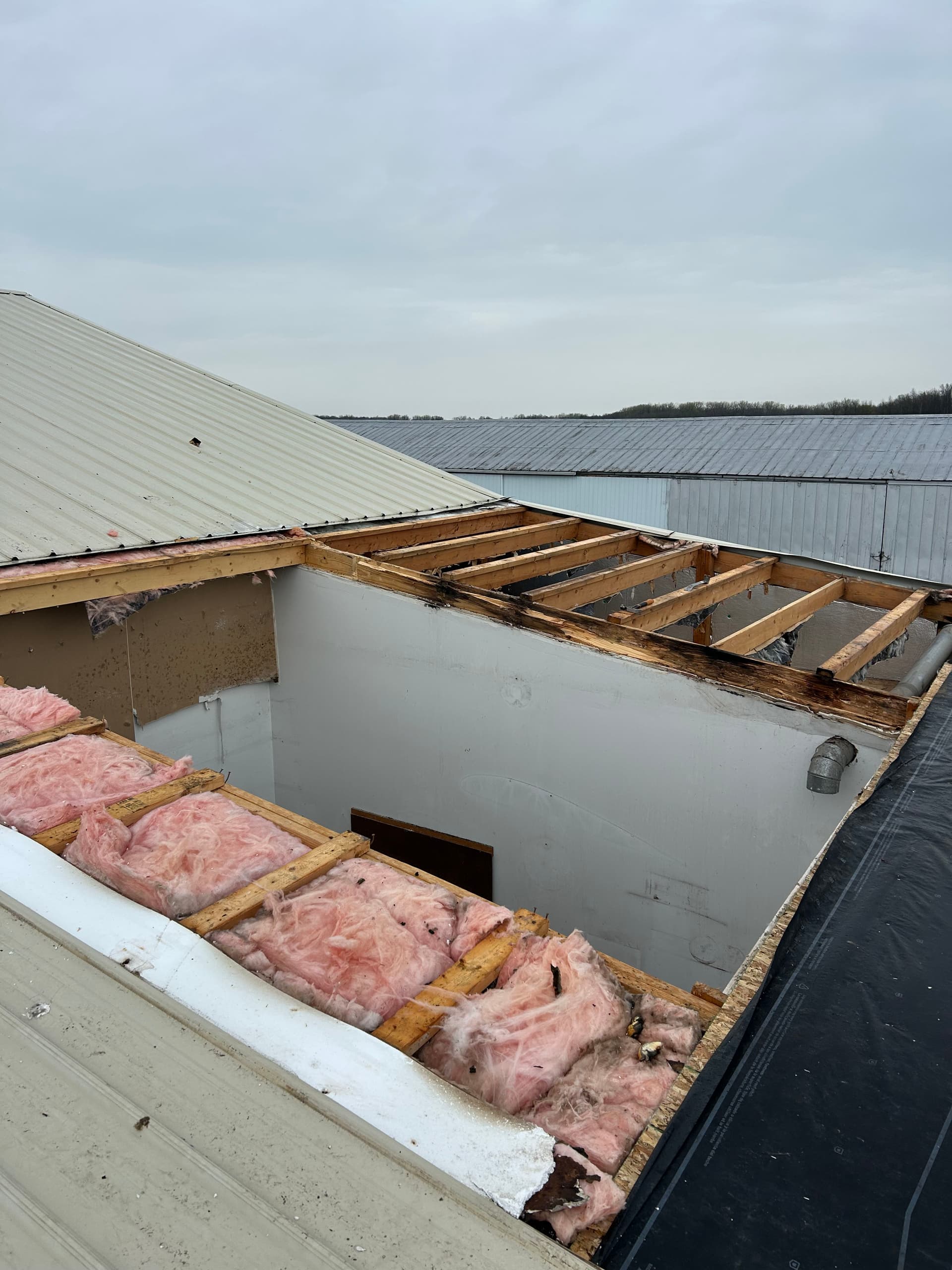 Gallery photos for Roof Replacement with Rotted Framing Repair in Defiance Ohio: Image #3