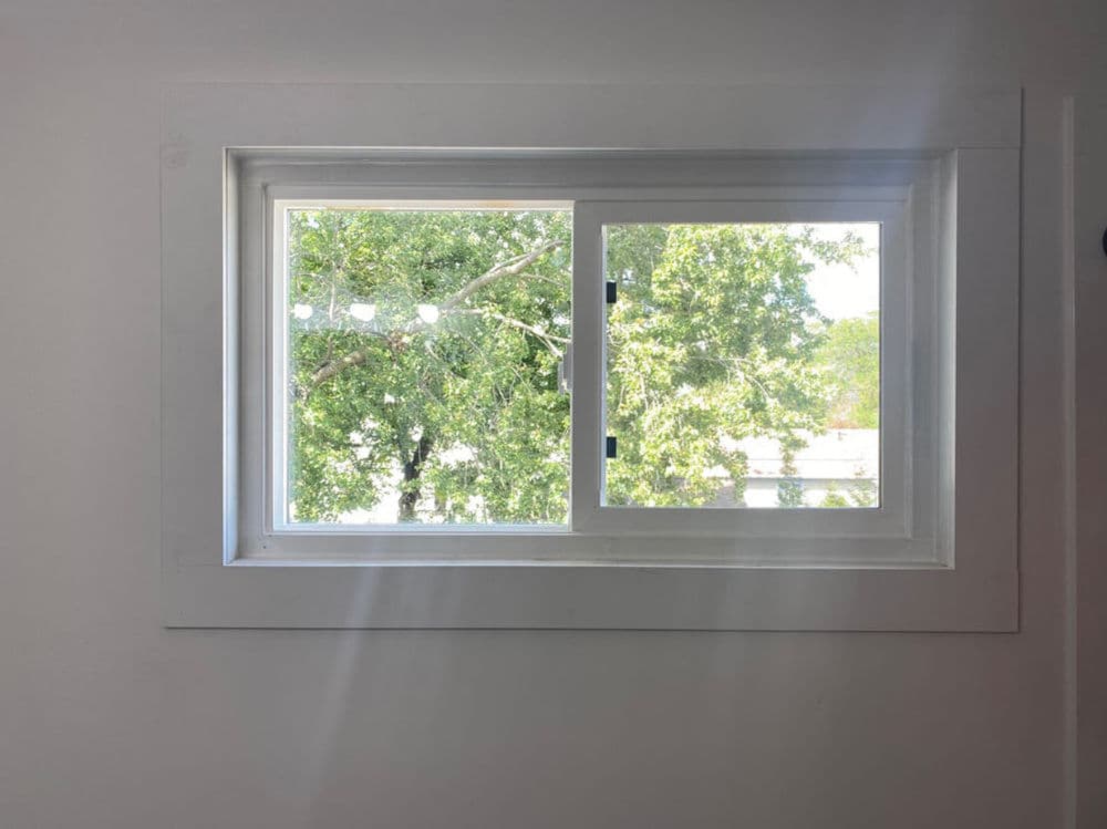 Modern window with white trim, showing vibrant green trees outside in natural light.